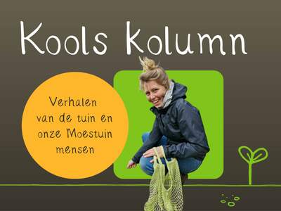 Kools kolumn website NB 4