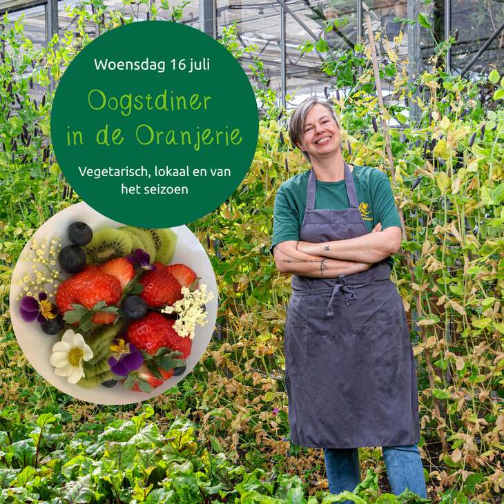 Oogstdiner vier de zomer2